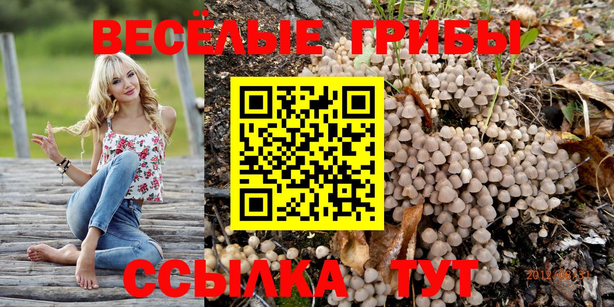 Гагарин  Псилоцибиновые грибы GOLDEN TEACHER  Галлюциногенные грибы Psilocybine cubensis  Вход с VPN 